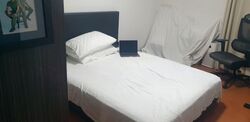 Blk 236 Serangoon Avenue 3 (Serangoon), HDB 4 Rooms #543519481